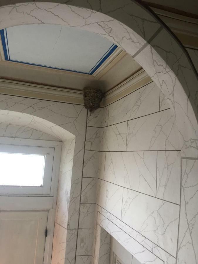 Villa Eugenia Λιβόρνο Εξωτερικό φωτογραφία